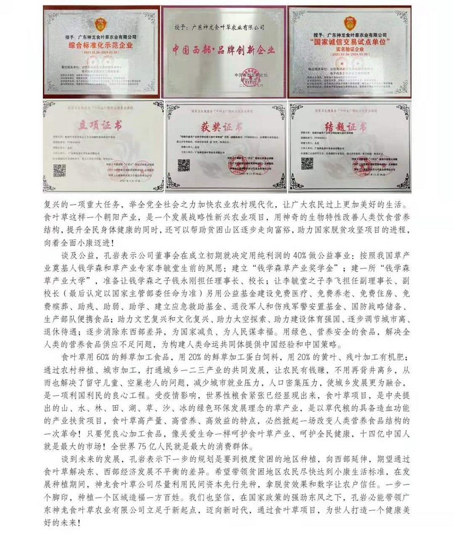 中国大健康产业领军人物 广东神龙食叶草农业有限公司董事长——孔岩