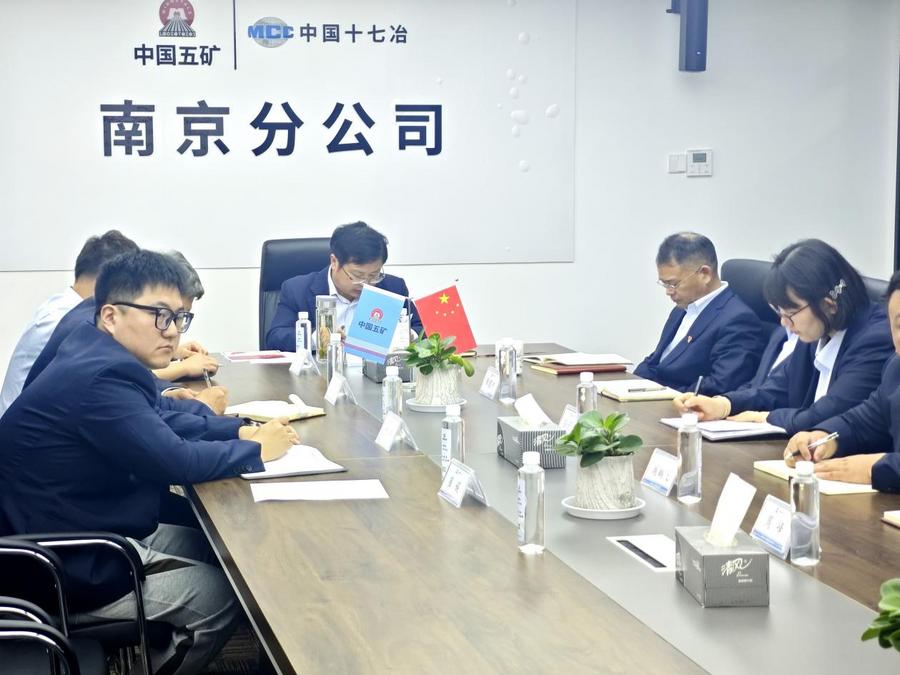 南京分公司召开党建工作领导小组（扩大）会议